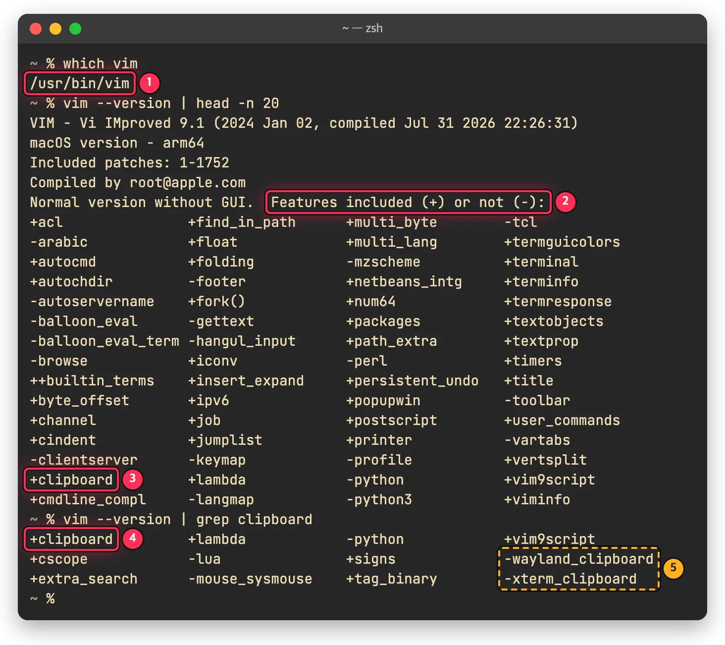 which vim 과 vim --version 출력에서 /usr/bin/vim 경로와 +clipboard 위치를 박스로 표시한 터미널 화면