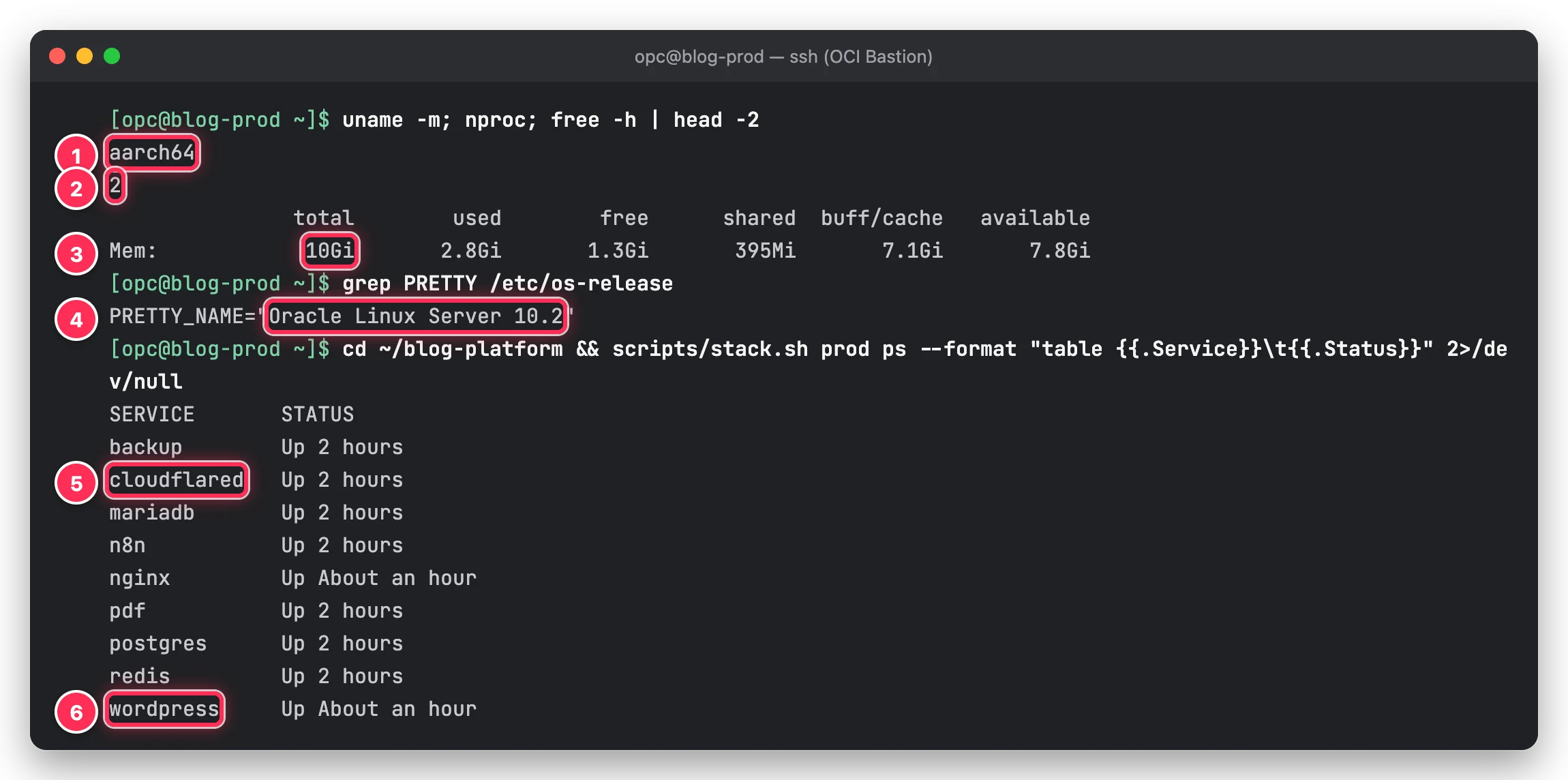 A1 서버에서 aarch64, CPU 2개, 메모리 10Gi, Oracle Linux Server 10.2와 컨테이너 9개 목록을 박스로 표시한 터미널 화면