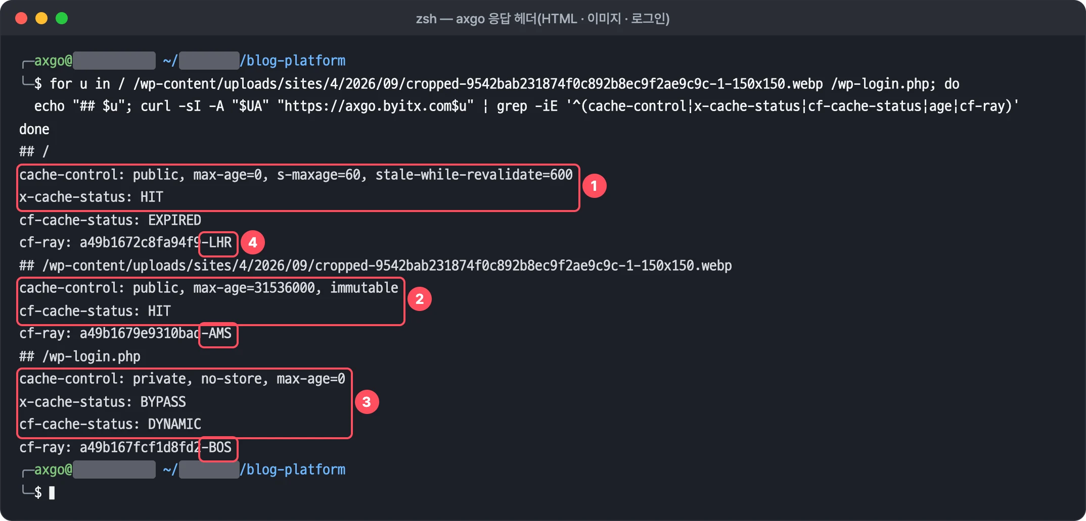 axgo 의 글 HTML·업로드 이미지·로그인 페이지 응답 헤더: s-maxage=60, 1년 immutable, private no-store 와 cf-cache-status·cf-ray