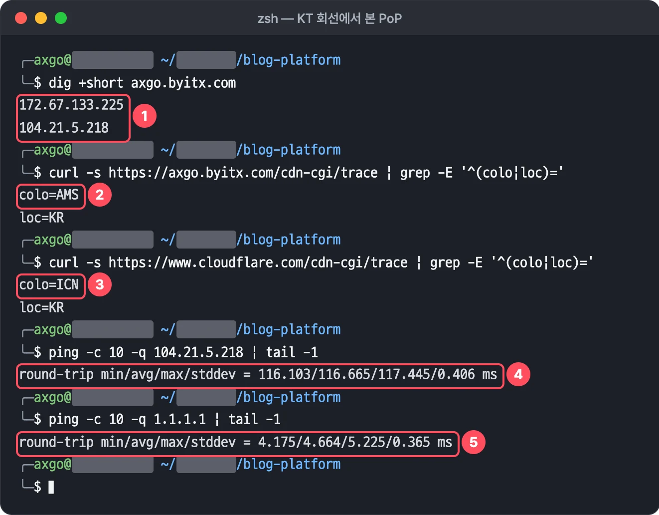KT 회선에서 dig 로 본 존 IP 104.21.5.218·172.67.133.225, axgo 의 cdn-cgi/trace colo=AMS 와 cloudflare.com 의 colo=ICN, ping 116ms 와 4ms 를 비교한 터미널 화면