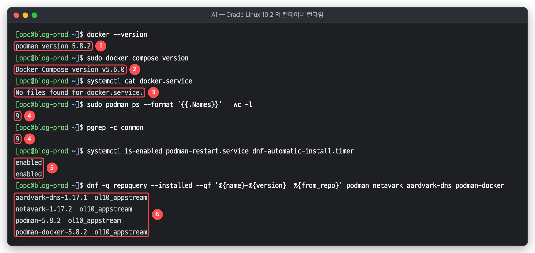 A1 에서 docker 명령, Docker Compose, conmon 수, podman-restart, ol10_appstream 패키지를 확인한 터미널 화면