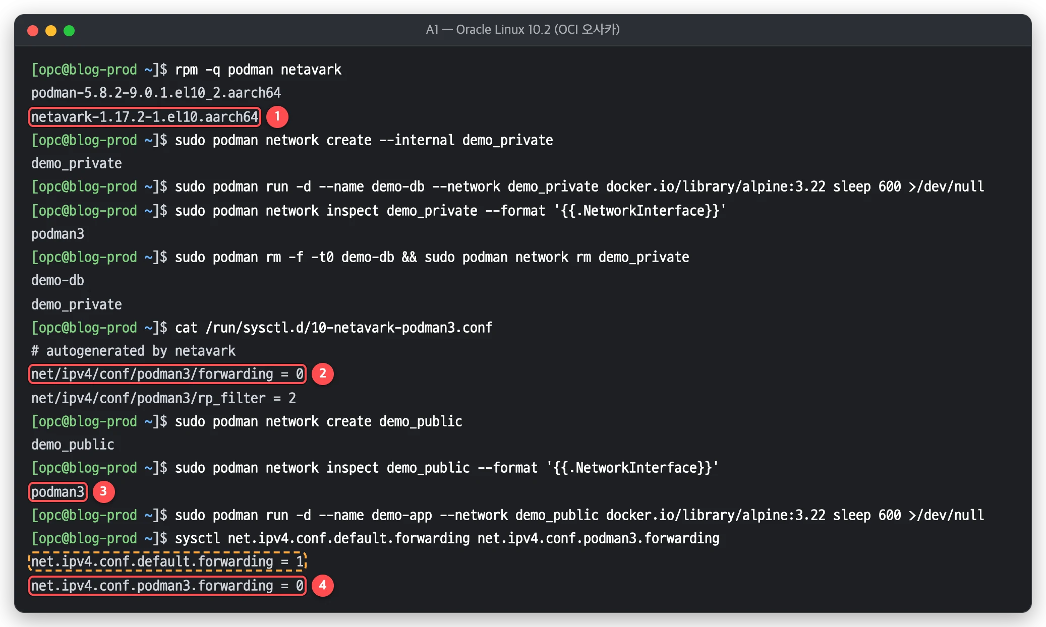 A1 Oracle Linux 10.2 에서 같은 순서로 재현해 podman3 브리지의 forwarding 이 0 으로 생긴 화면