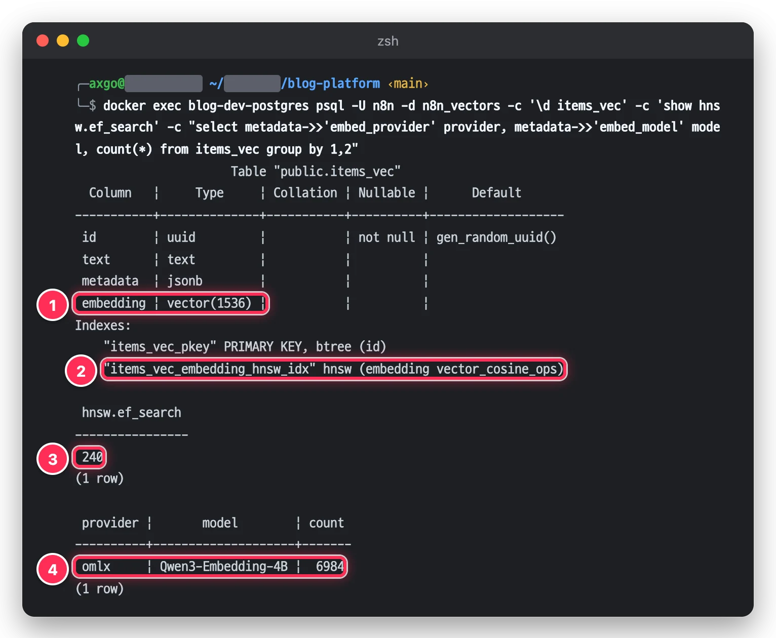 터미널에서 items_vec 표의 embedding vector(1536) 열, HNSW 코사인 인덱스, hnsw.ef_search 240, 벡터 metadata 의 embed_provider 와 embed_model 분포를 박스로 표시한 화면
